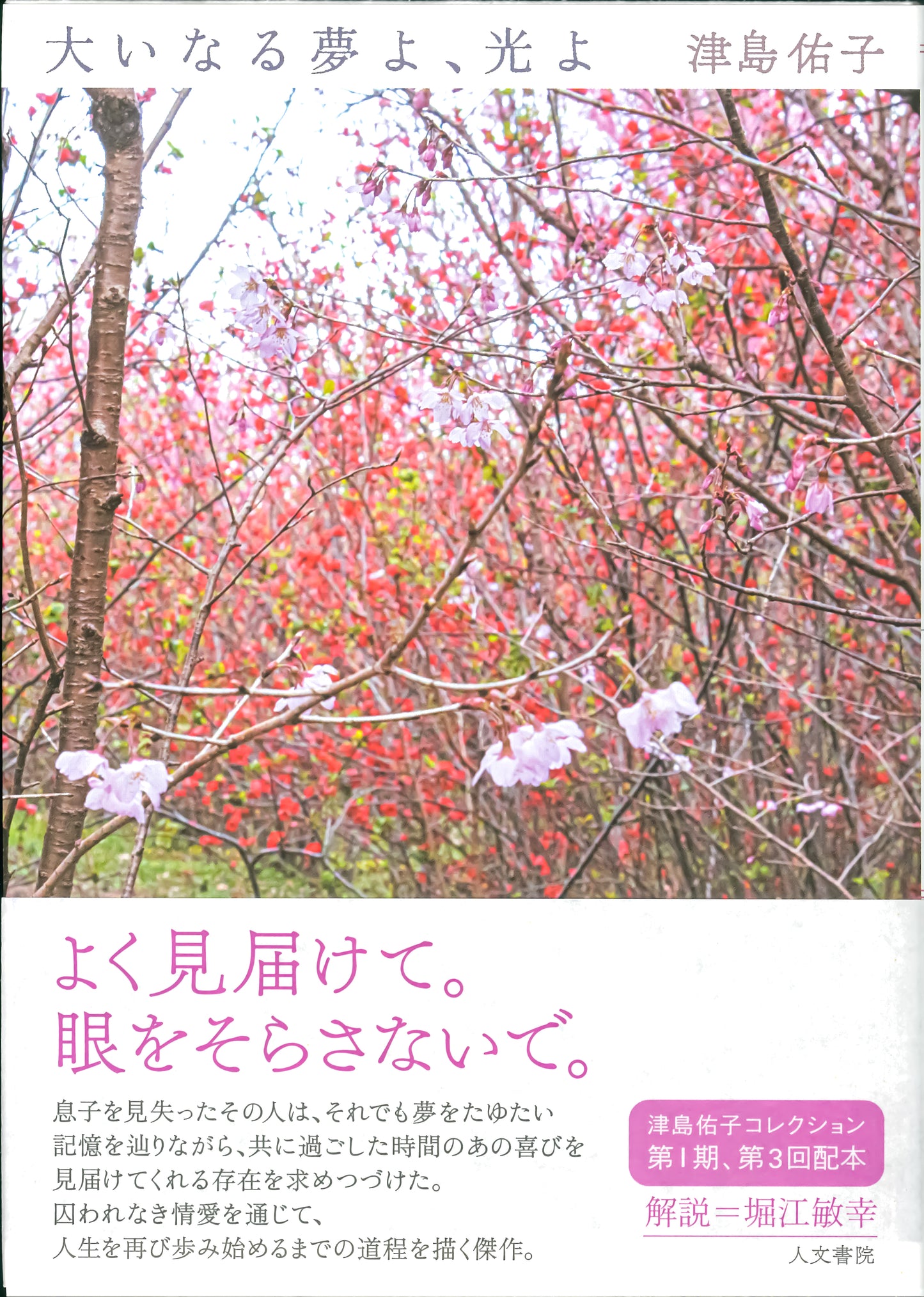 大いなる夢よ、光よ