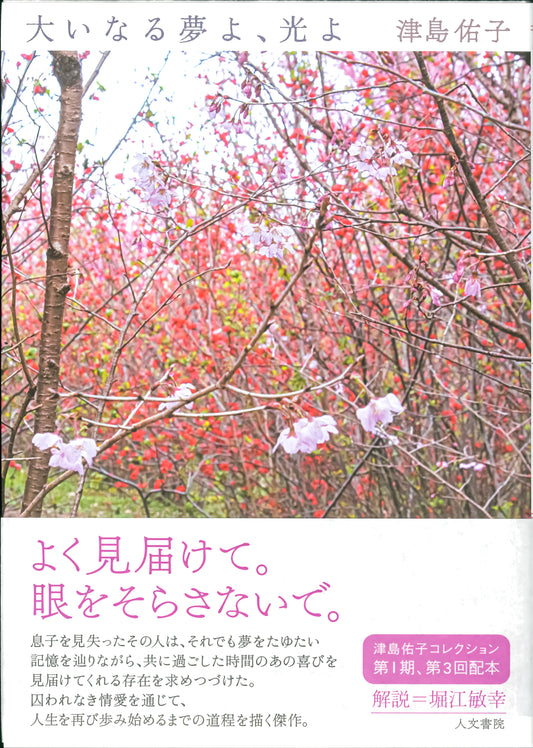 大いなる夢よ、光よ