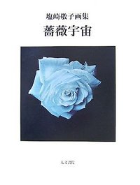 薔薇宇宙